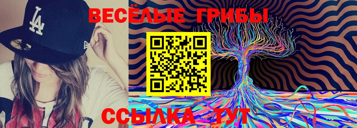Псилоцибиновые грибы мицелий Мурино