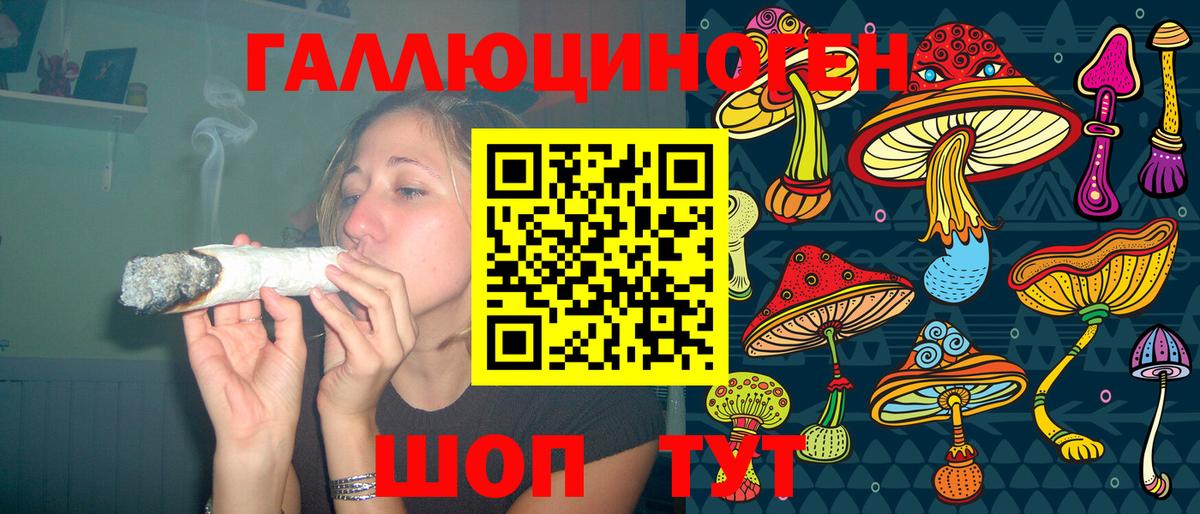 Мурино  Галлюциногенные грибы Psilocybe  Вход с VPN 